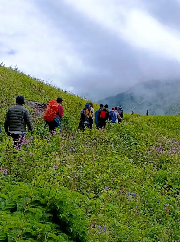 valley of flower package